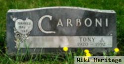 Tony J. Carboni