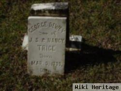 George Dewey Trice