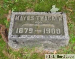 Hayes Thacker