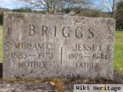 Jesse Lang Briggs