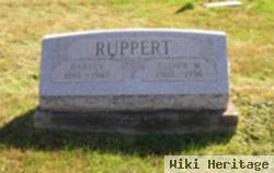 Harvey Ruppert