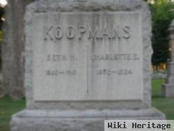 Seth Hendrik Koopmans