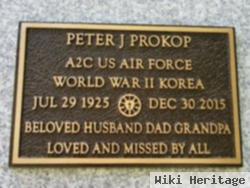 Peter J Prokop