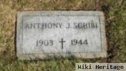 Anthony J Schibi