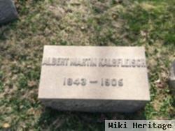 Albert Martin Kalbfleisch