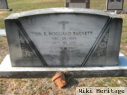 Dr Robert Woodard Barnett