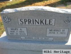 Mary Ann Meo Sprinkle