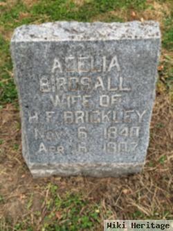 Adelia Birdsall Brickley