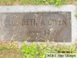 Elizabeth Ann Newman Owen