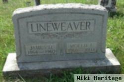 Mollie F. Lineweaver