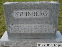 Herbert A. Steinberg