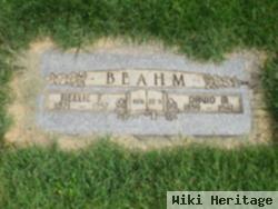 David Martin Beahm