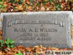 Mary A L Wilson