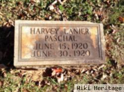 Harvey Lanier Paschal