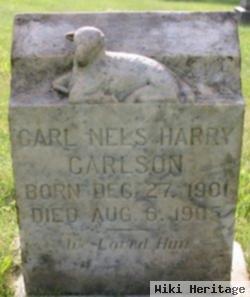 Carl Nels Harry Carlson