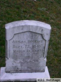 Abigail Higgins Hurd Hopkins