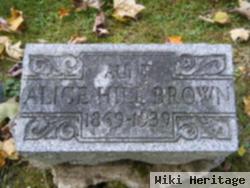 Alice Hill Brown