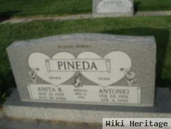 Antonio P Pineda