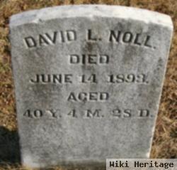 David L Noll