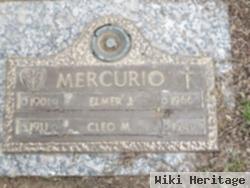 Elmer J Mercurio