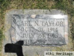 Carl Nielson Taylor