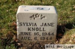 Sylvia J Knoll