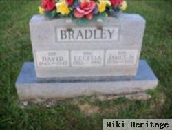 James Bradley, Jr