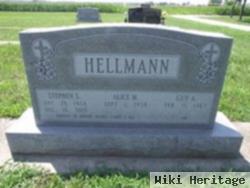 Stephen S Hellmann
