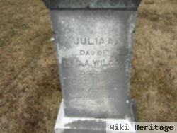 Julia A Wilcox