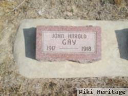 John Harold Gay