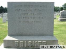 Mary Fry Bricker