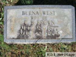 Buena Vista West Brown