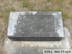 D M Lowery