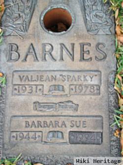 Barbara Sue Barnes