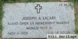 Joseph Anthony Licari