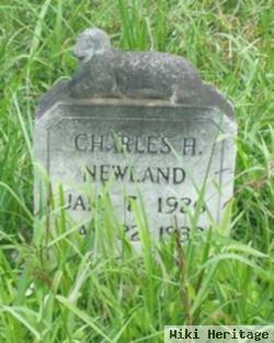 Charles Henry Newland