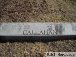 Sallie Elizabeth Weimer Callahan