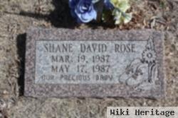 Shane David Rose