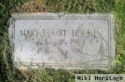 Mary Ann Elizabeth Foust Holmes