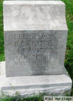 Lelo J. Leavitt