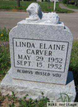 Linda Elaine Carver