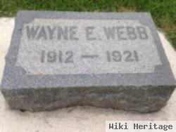 Wayne E Webb