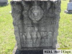 Ben F. Karnes