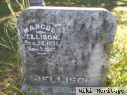 Marcus Jellison