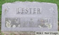 Andrew E. Lester