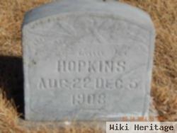 Adelbert Hopkins