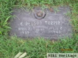 Ernest Nelson Turpin