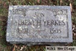 Albert Henry Yerkes