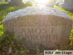 Amos Gardner