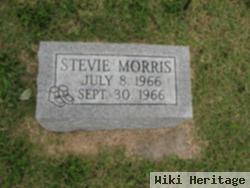 Stevie Morris